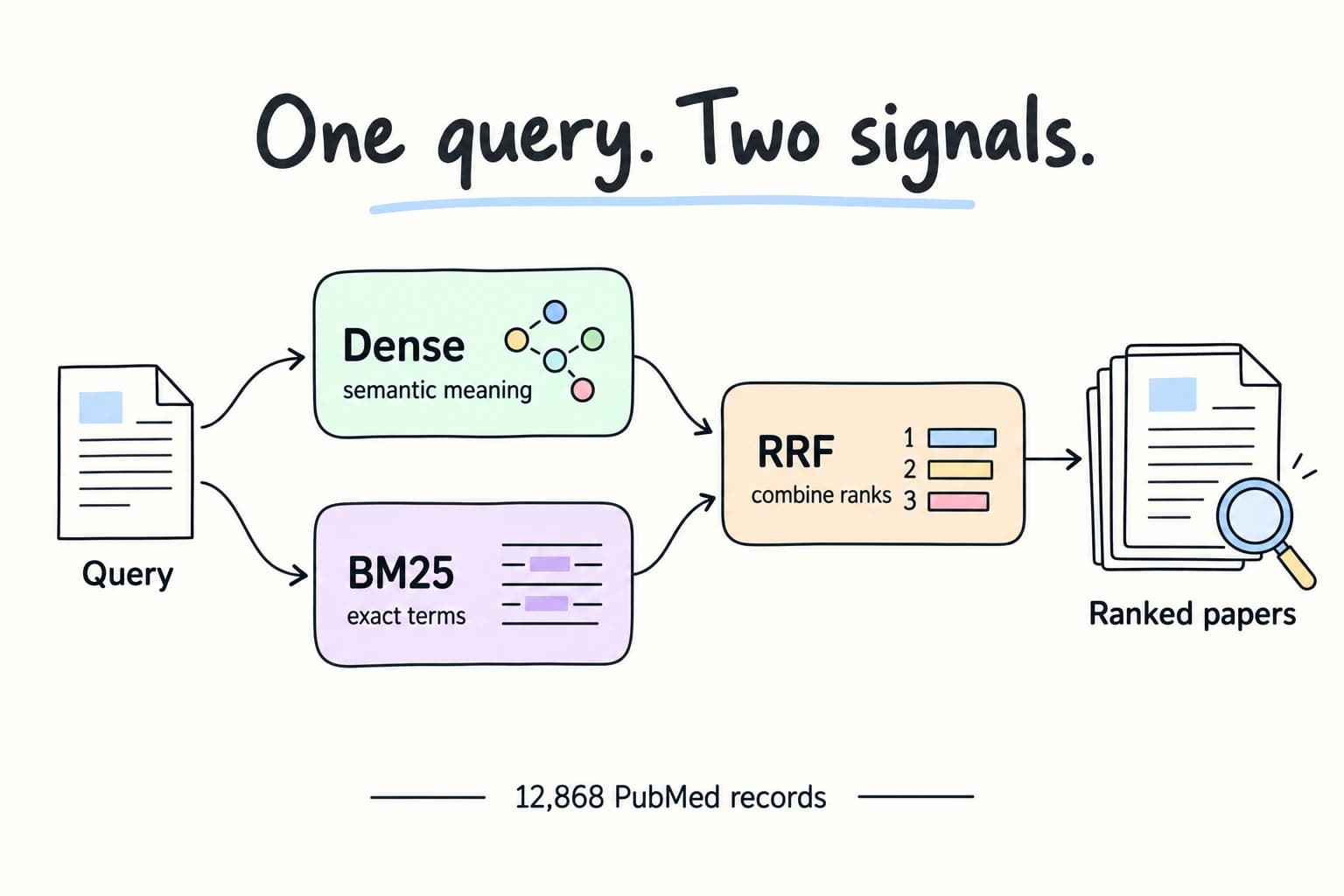 PubMed Hybrid Retrieval project preview